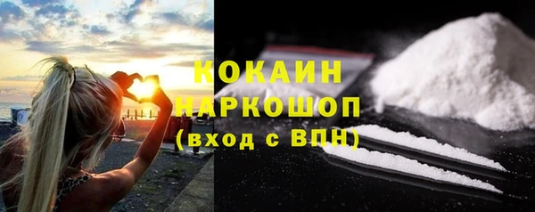 спиды Горняк