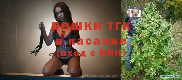 спиды Горняк