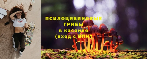 спиды Горняк
