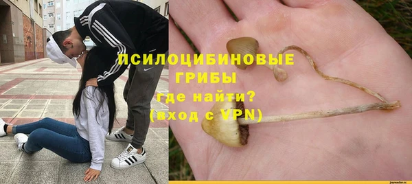 ECSTASY Сясьстрой